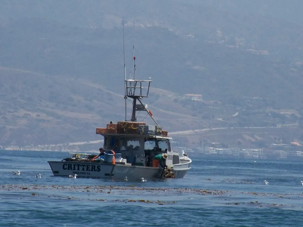 Working Boat