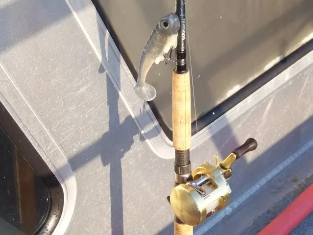 Hey this set up looks just like a freshwater largemouth bass swim bait rig, who do you think this gear might belong to?