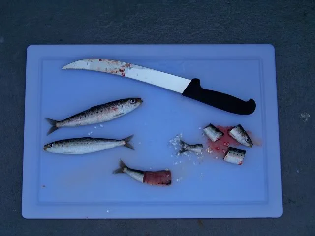 Bait options