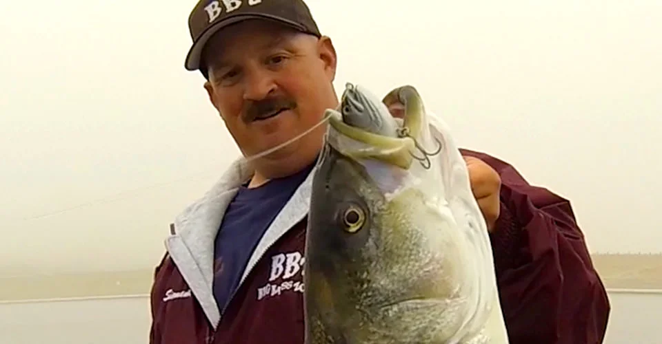 Monster Striper Inhales 8" BBZ-1 Swimbait