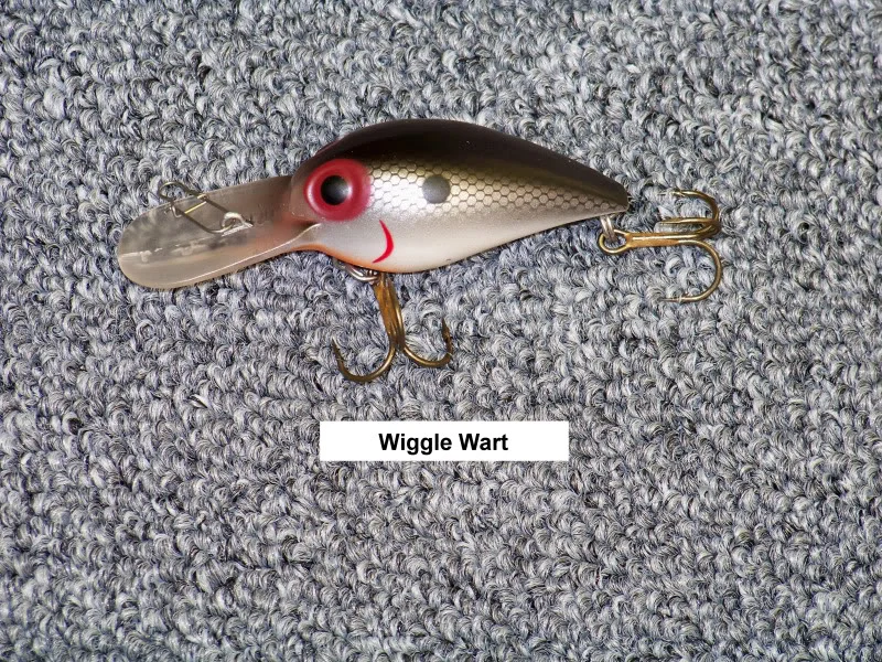 36wigglewart.jpg