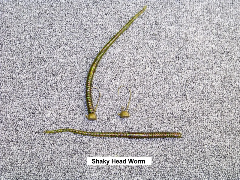 41ShakyHeadWorm.jpg