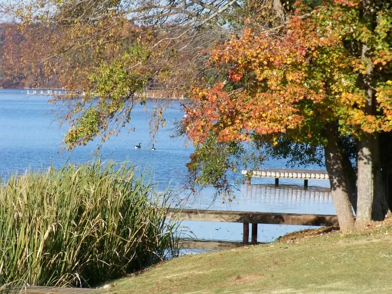 The view out my window, Town Creek Cove Wilson Lake