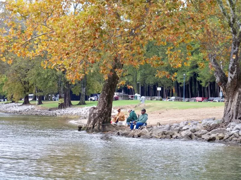 Shore anglers