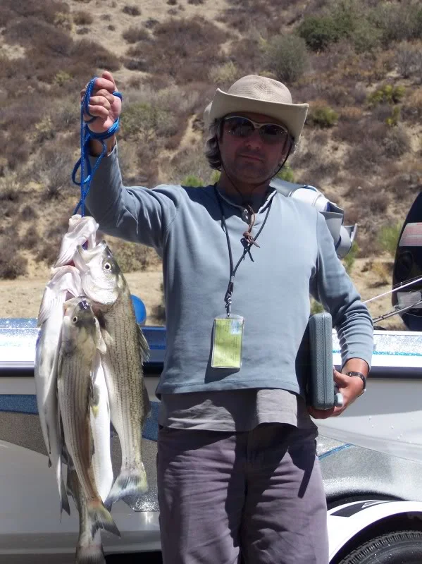 Taking advantage of striper boils this angler has his filet kit and is soon off to prepare some fish tacos.