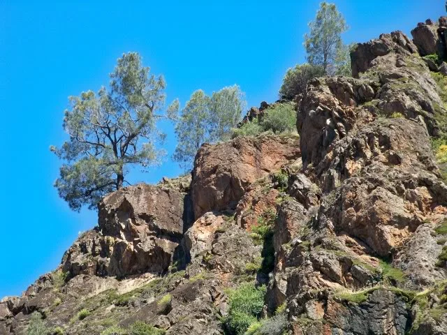 Canyon Walls