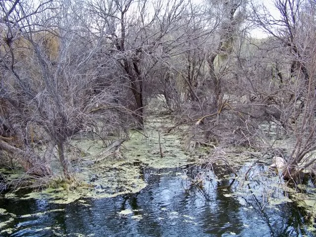 There is a bass in there trust me just ask Troy