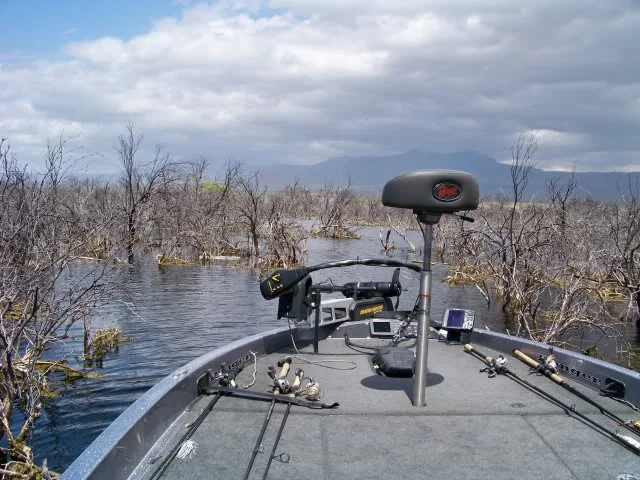 In the thick of it