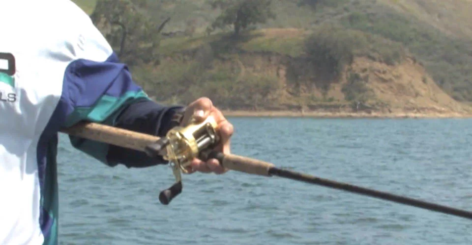 Wind Drifting Swimbaits, BBZ Style