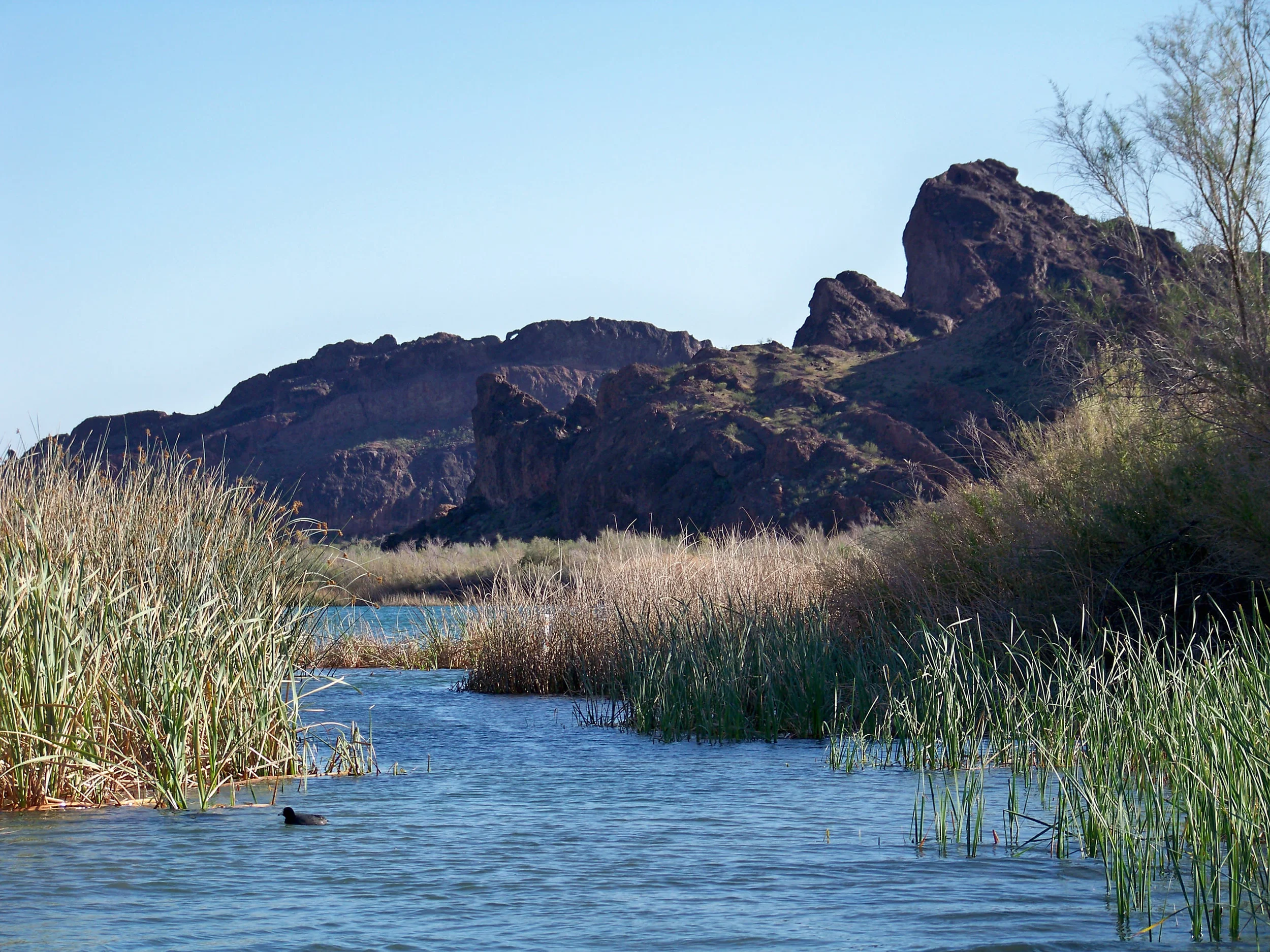 Backwater exist/entrance 