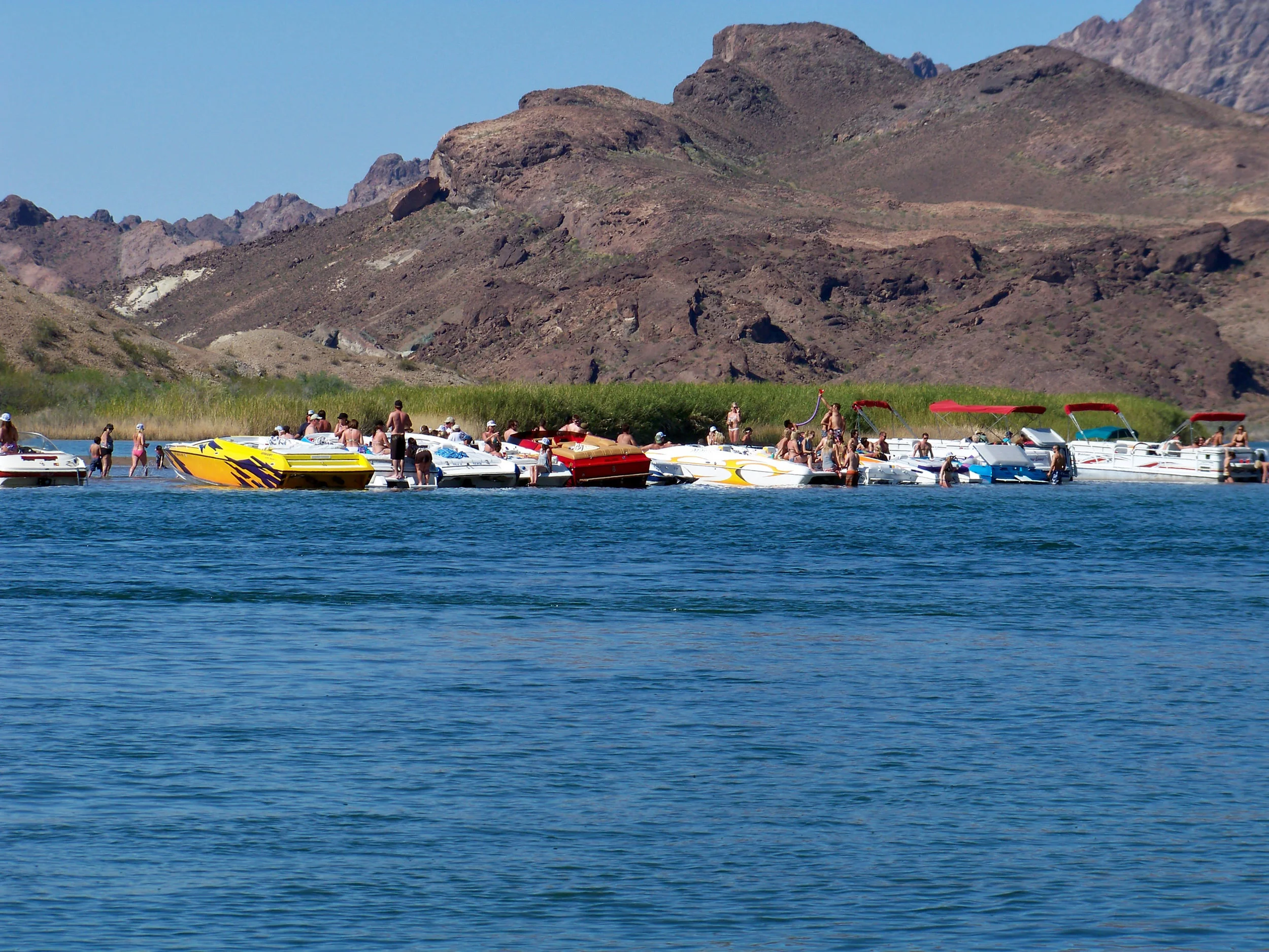 Sand Barr Island Colorado River (AKA) Party Island, can you see the beer bong? I took this photo 4 years ago and I just noticed! 