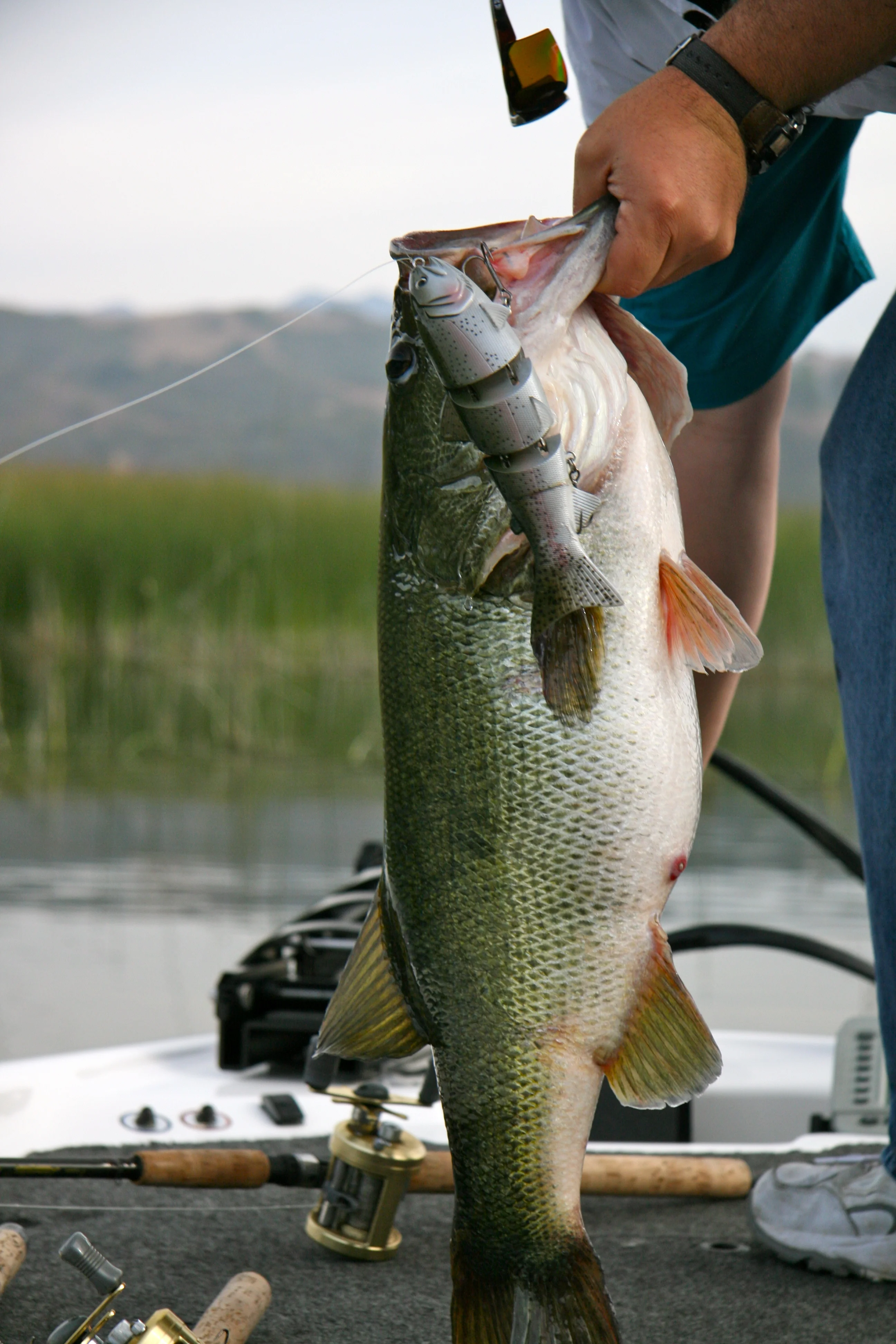 Keeping An Open Mind While Fishing