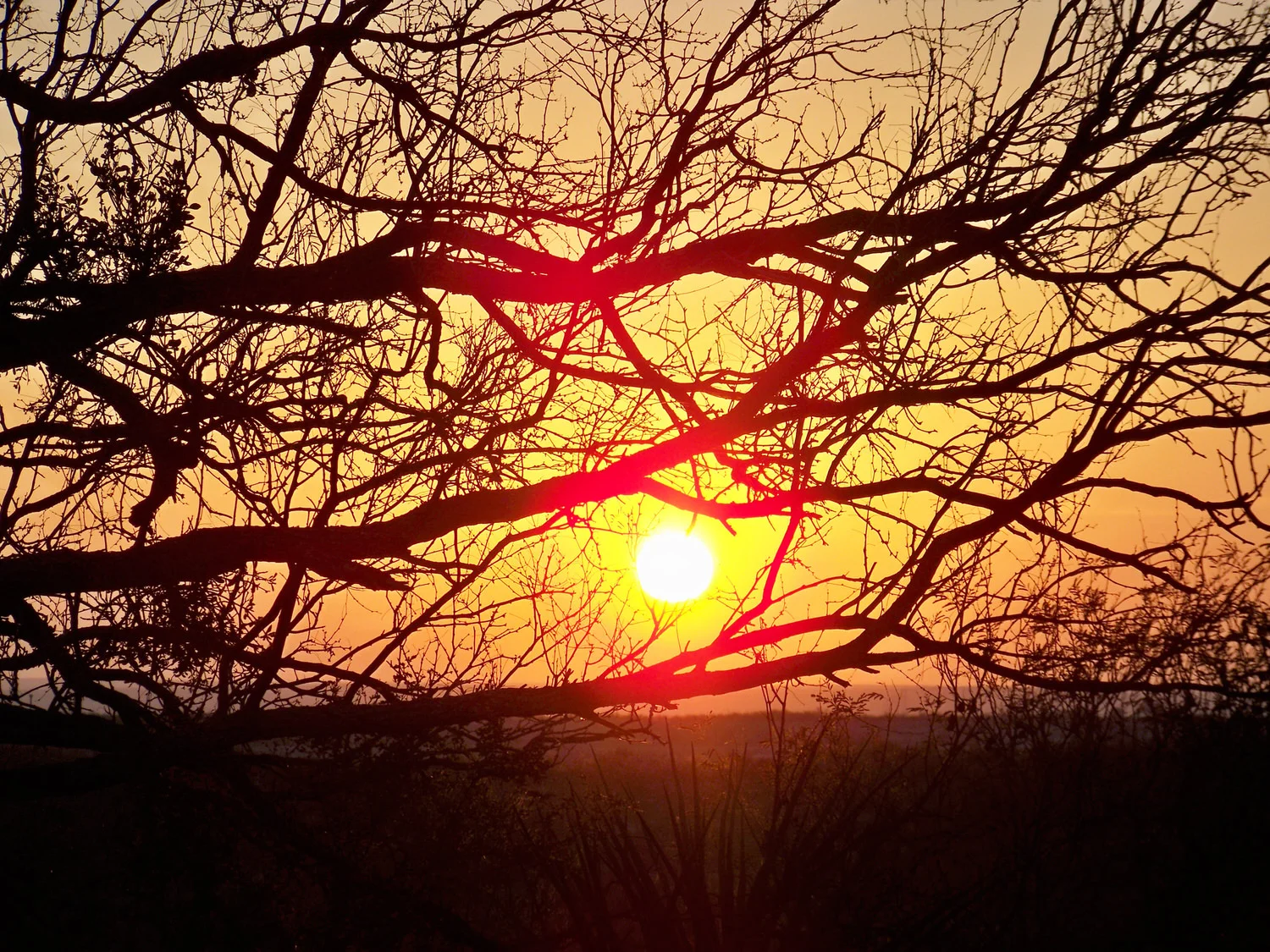Amistad Sunset