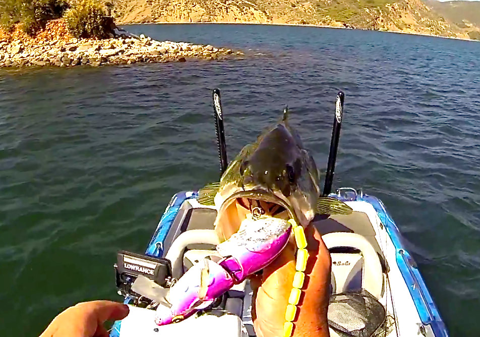 SPRO BBZ-1 Rat Fishing, Game On!