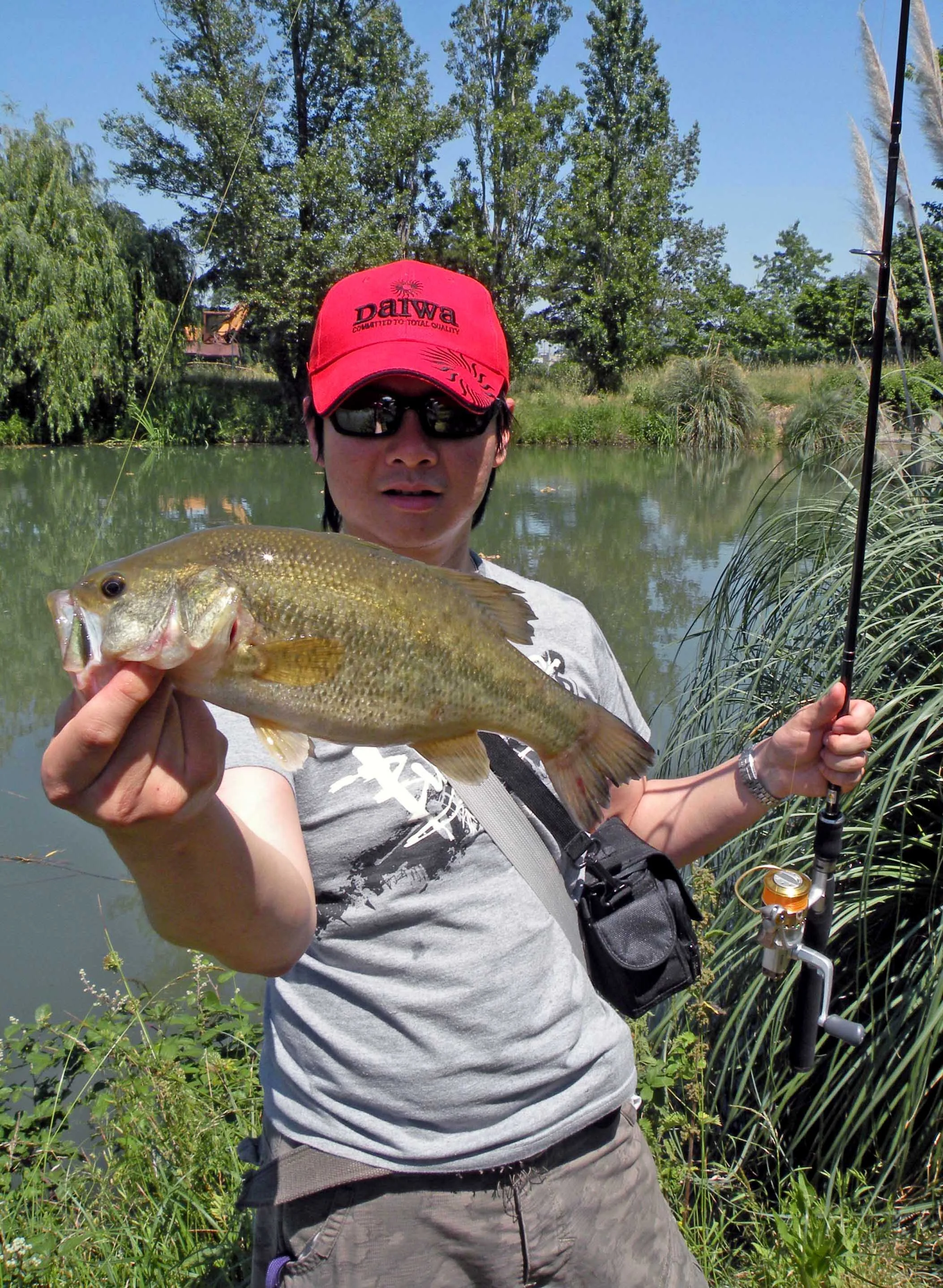 Sometimes, you just got to go with finesse tactics. Wacky rigged 4” Senko, especially dark colored ones will help you catch finicky bass in muddy ponds.