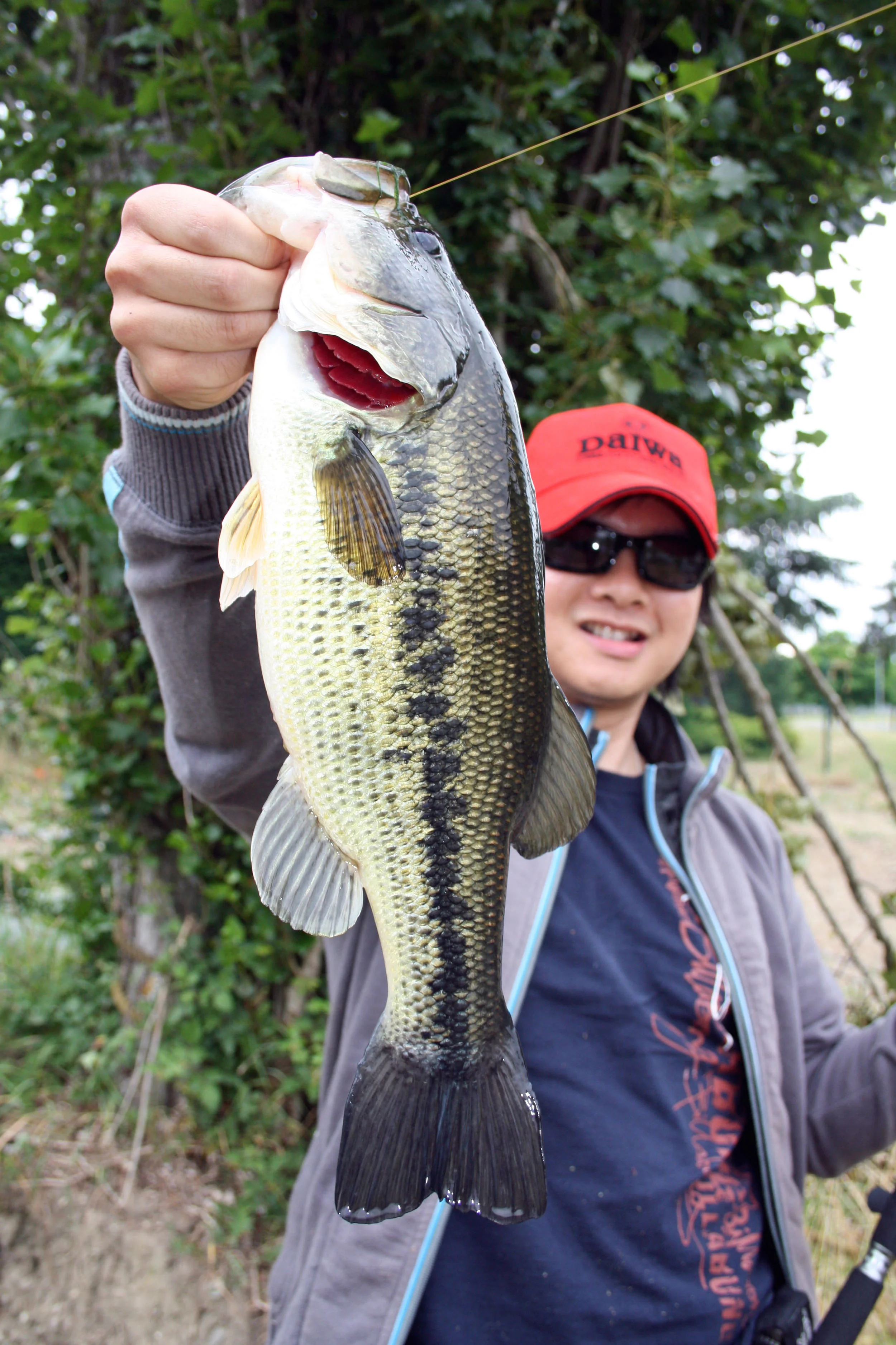 Pic. 4. Another solid fish! I caught this fish on a wacky rigged 4-inch Senko on 6lb test Sufix Siege monofilament in clear water.