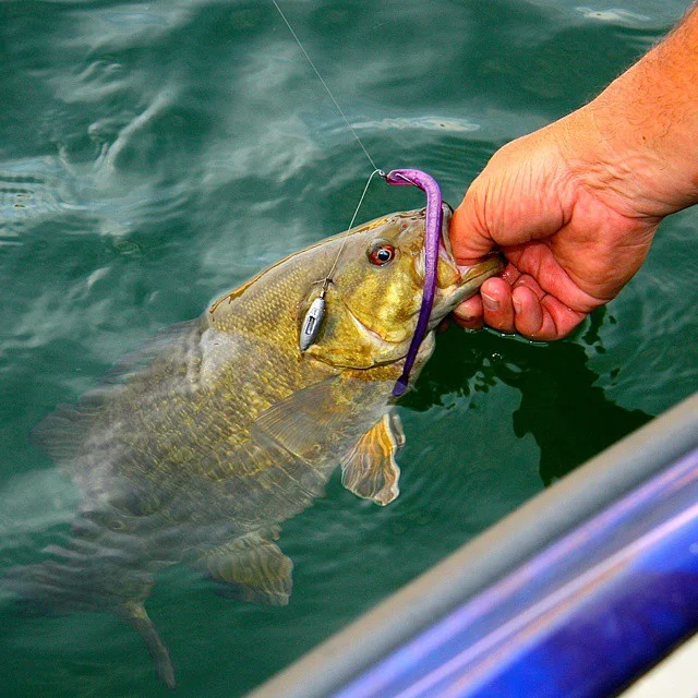 There Is Something About Small Mouth Bass