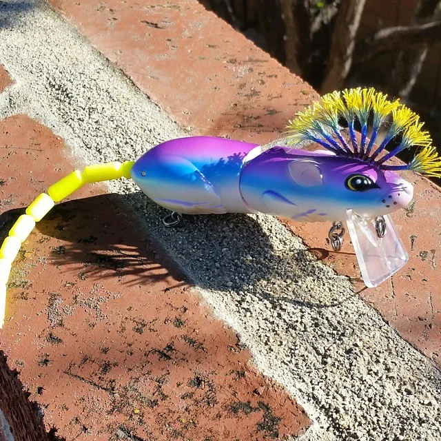 Fred Hall Show: Long Beach. BBZ-1 Rat with Spikes