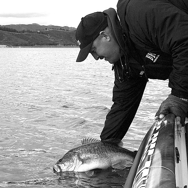 Throwback Thursday: CPR Catch/Photography/Release