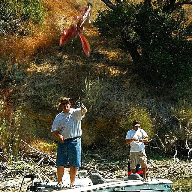 Monday Madness. In Your Face!