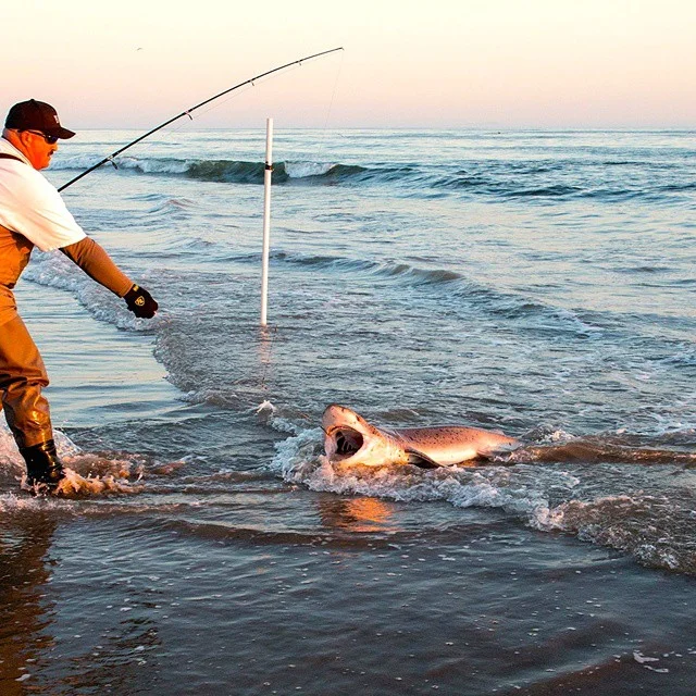 Flash Back Friday: Techniques + Tools = Fish.