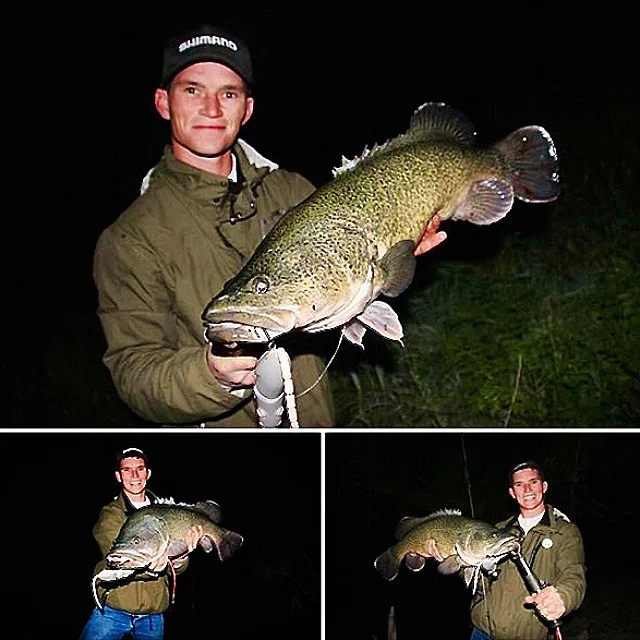 BBZ-1 Rats in Australia!