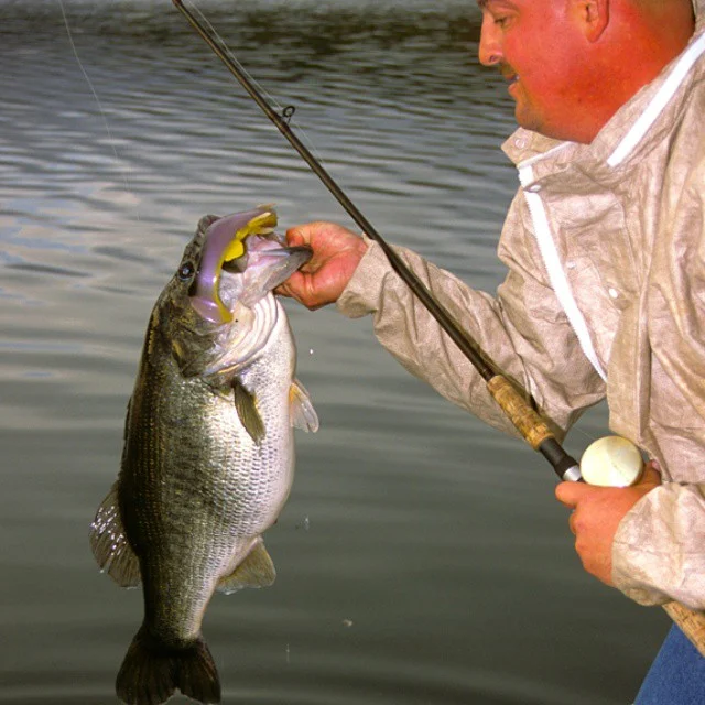 Flash Back Friday Monster