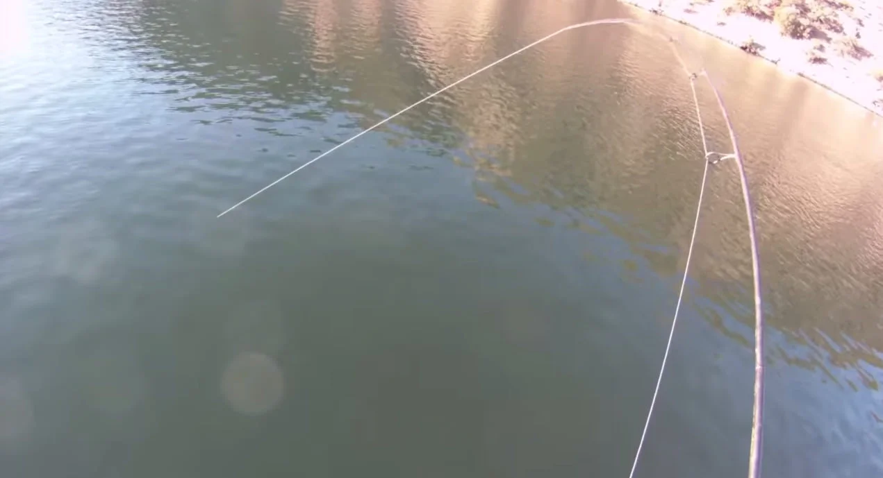 Trolling Stripers with the Poor Mans Alabama Rig (Spro BBZ-1)