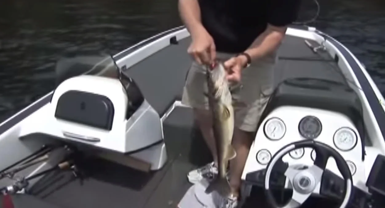 Spro 6" BBZ-1 catches biggest Pike in Torry Rhoades life (SwimBaits and Monster Pike)