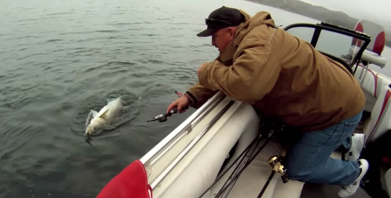 Monster Striper for the Non-Believer