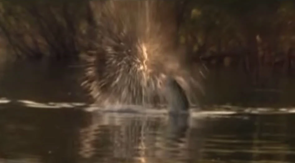 Bass West USA TV with Bill Siemantel (Mr. BBZ)