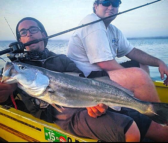 Stan The Rat Kaplun is crushing it!