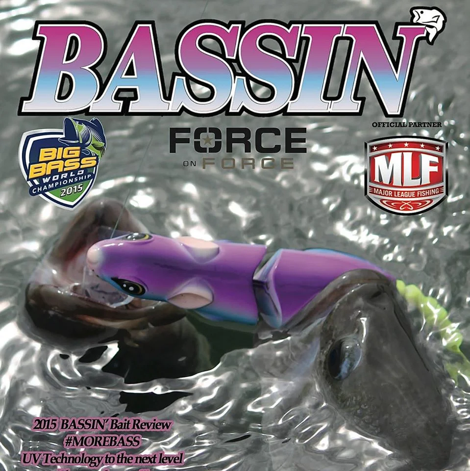 Front Cover of BASSIN!