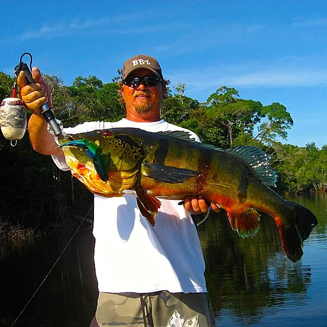 Ron Thompson's Monster Peacock Bass!