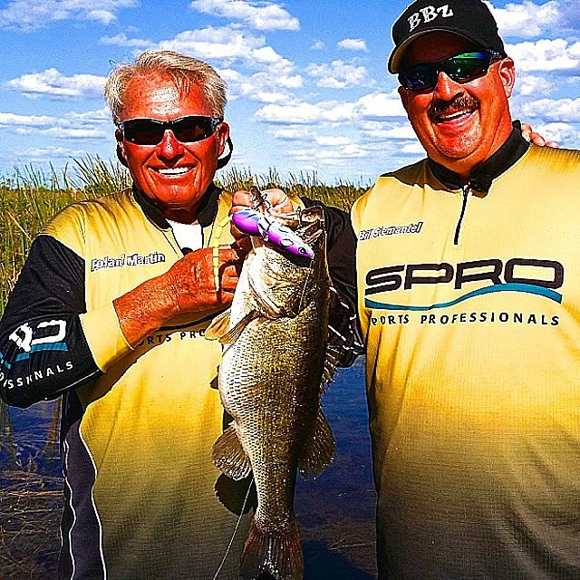 BBZ-1 Rat Update: They work well in FL!