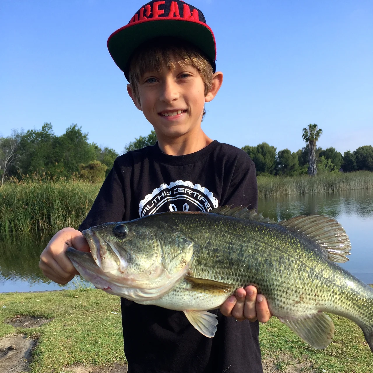 Blake Weiland "Does It Again"