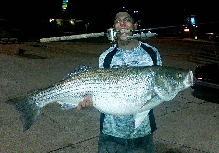Richy Laughery "Monster 50lb 4oz Striper" TBT Story. Wanna read how he did it?