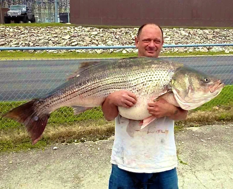 New Missouri State Record "SMASHED"