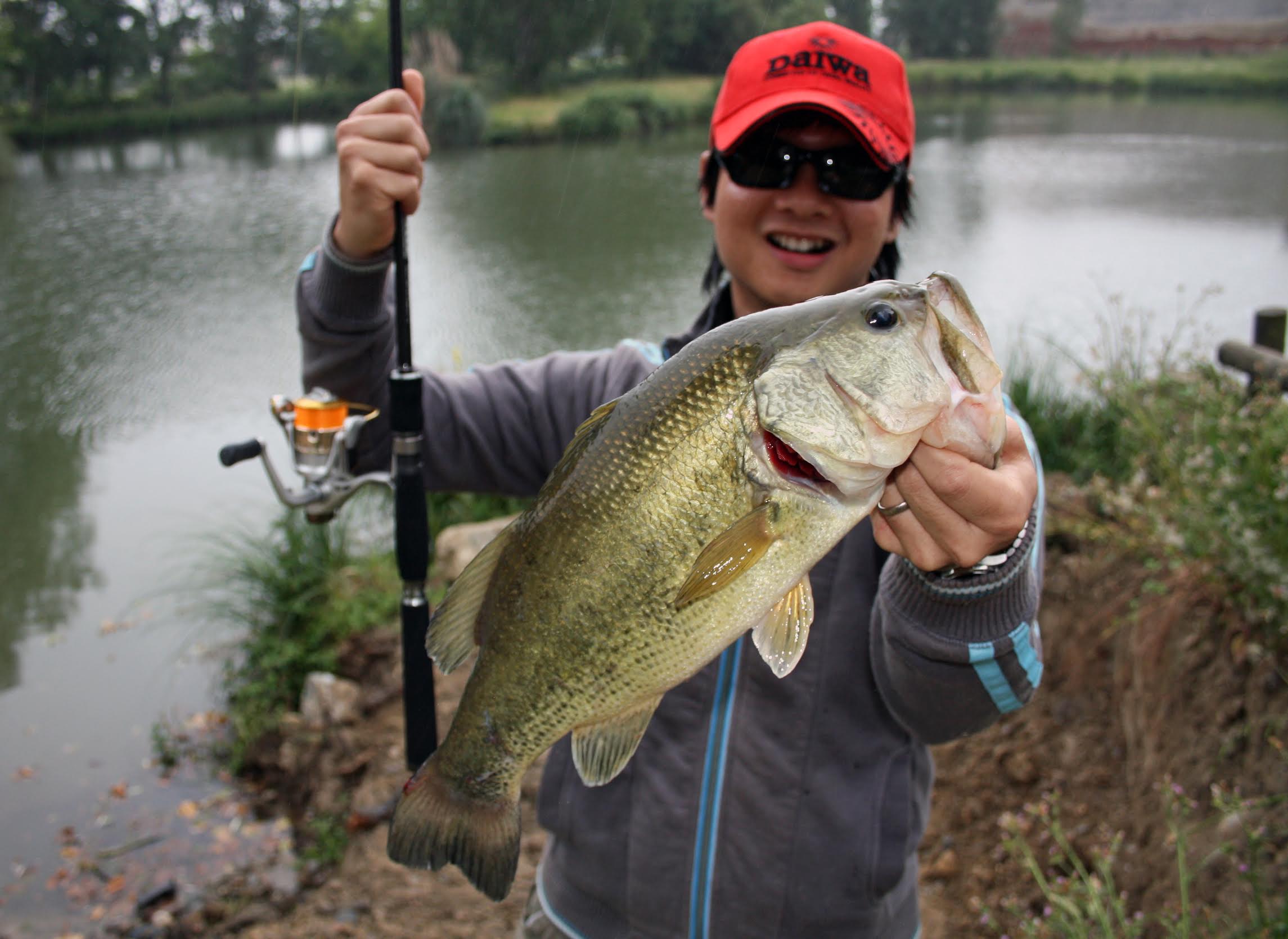 Finesse Fishing Muddy Ponds — Welcome To The BBZ World - theBBZtv