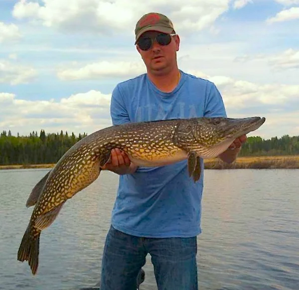 The BBZ-1 Strikes Again!