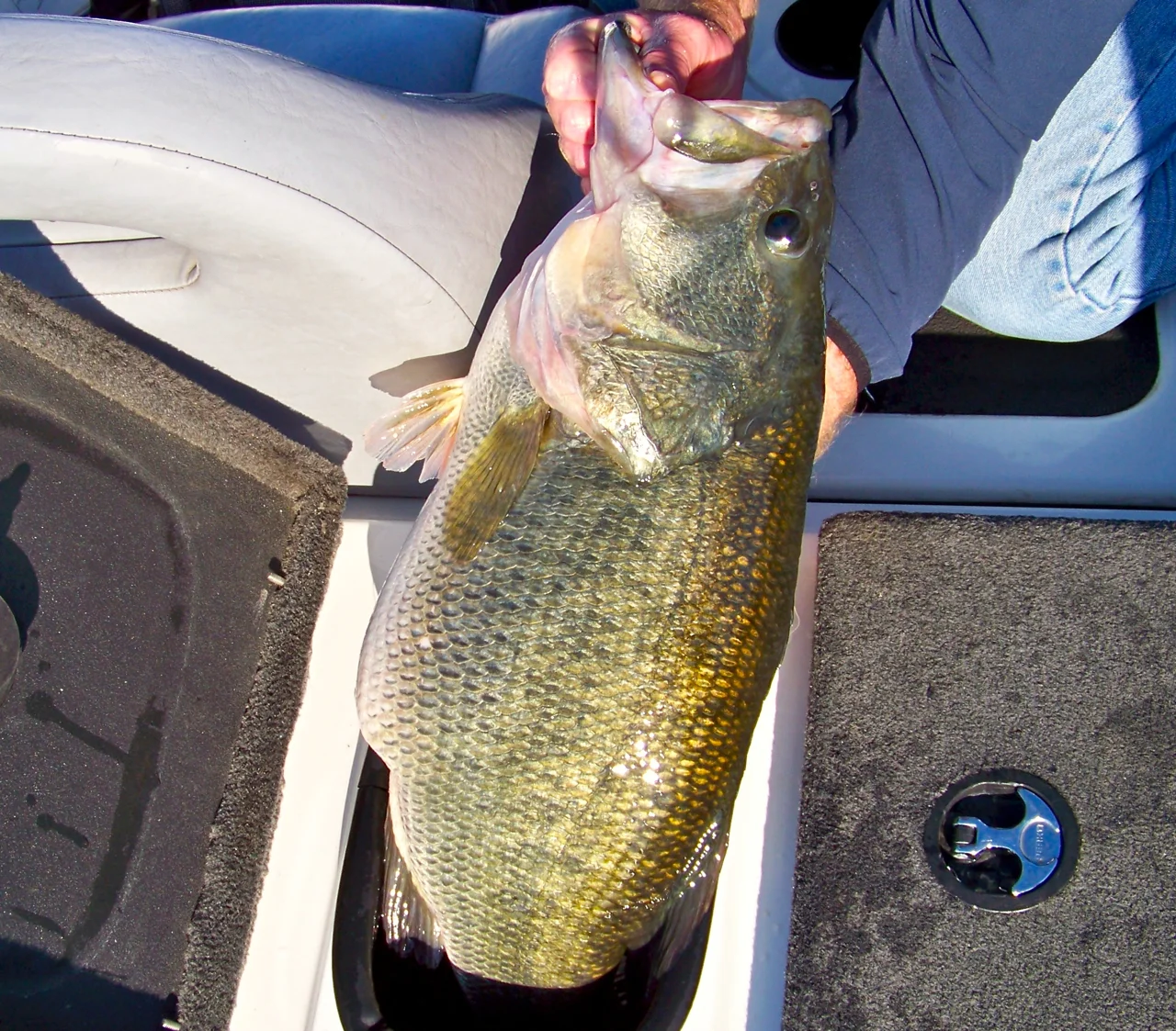Derrek Stewarts Beast!