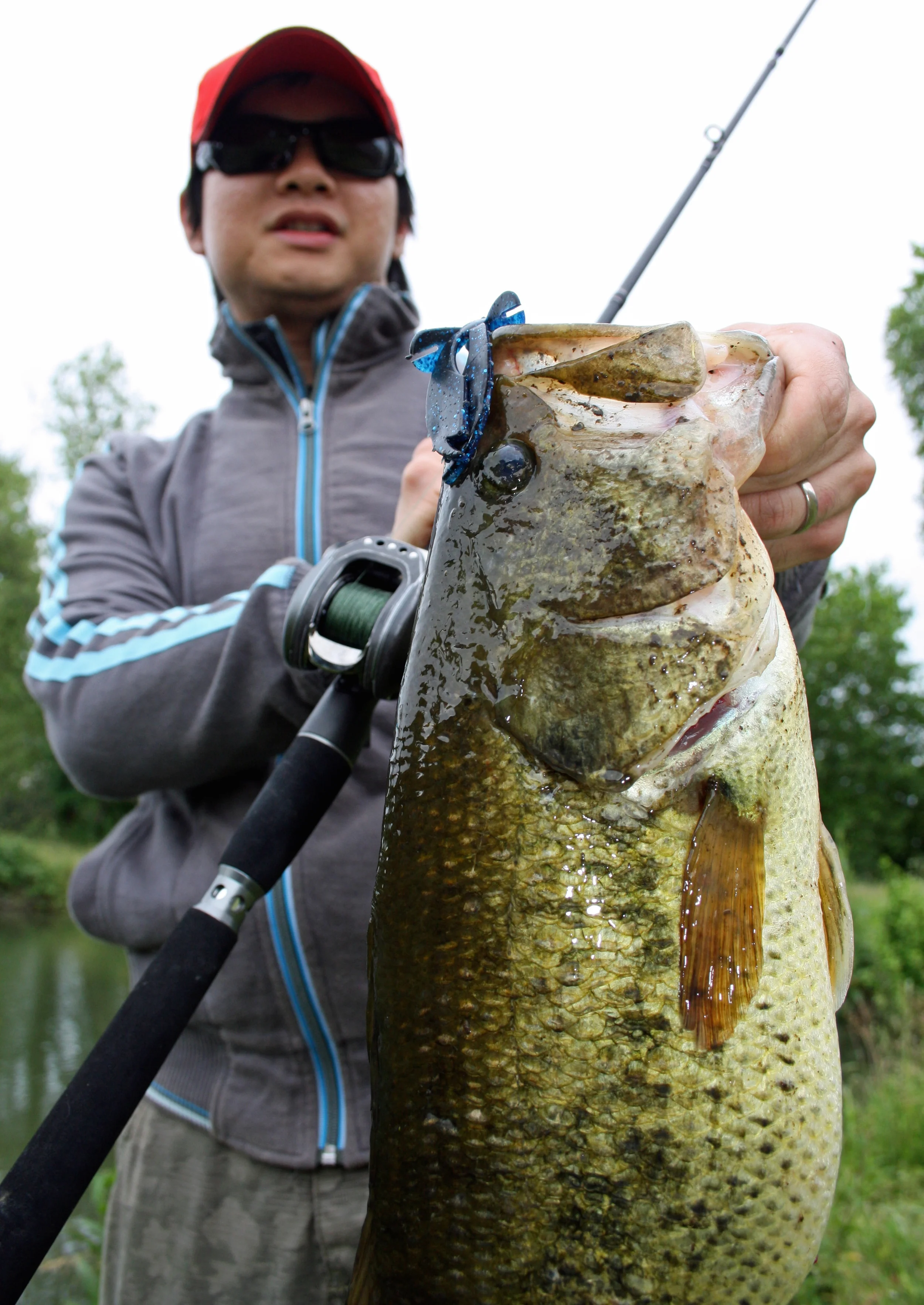 Football Jigs for Urban Ponds (part 1) Toulouse, South-West France
