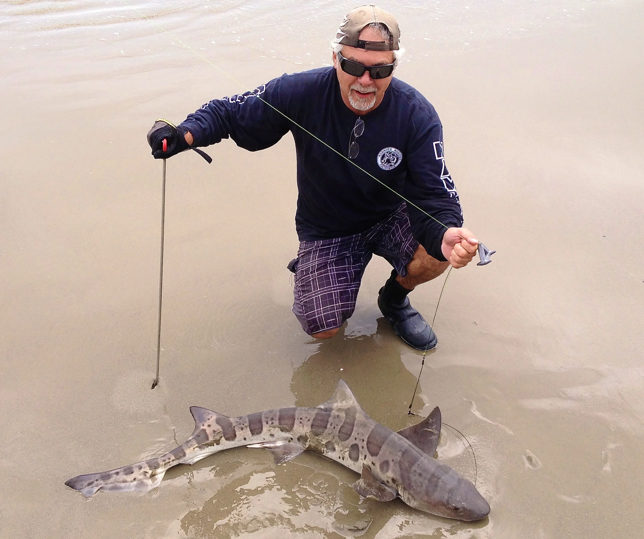 Are You Ready For Shark Week?