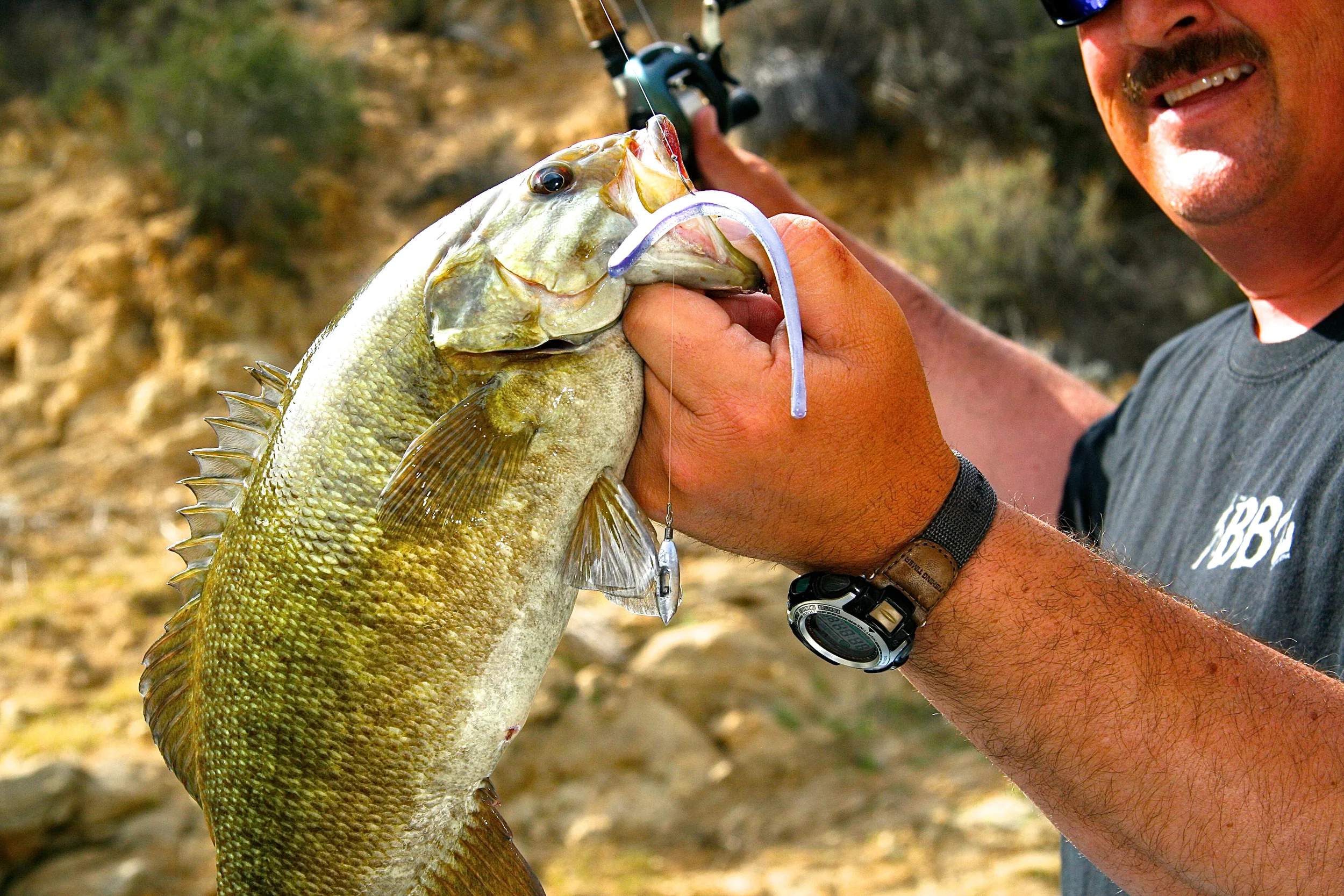 Small Mouth Surprise.