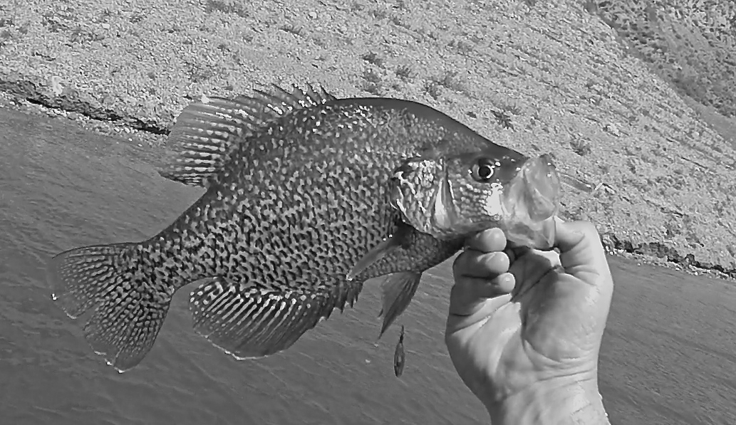 Yes It Happens "Shotting Slabs"