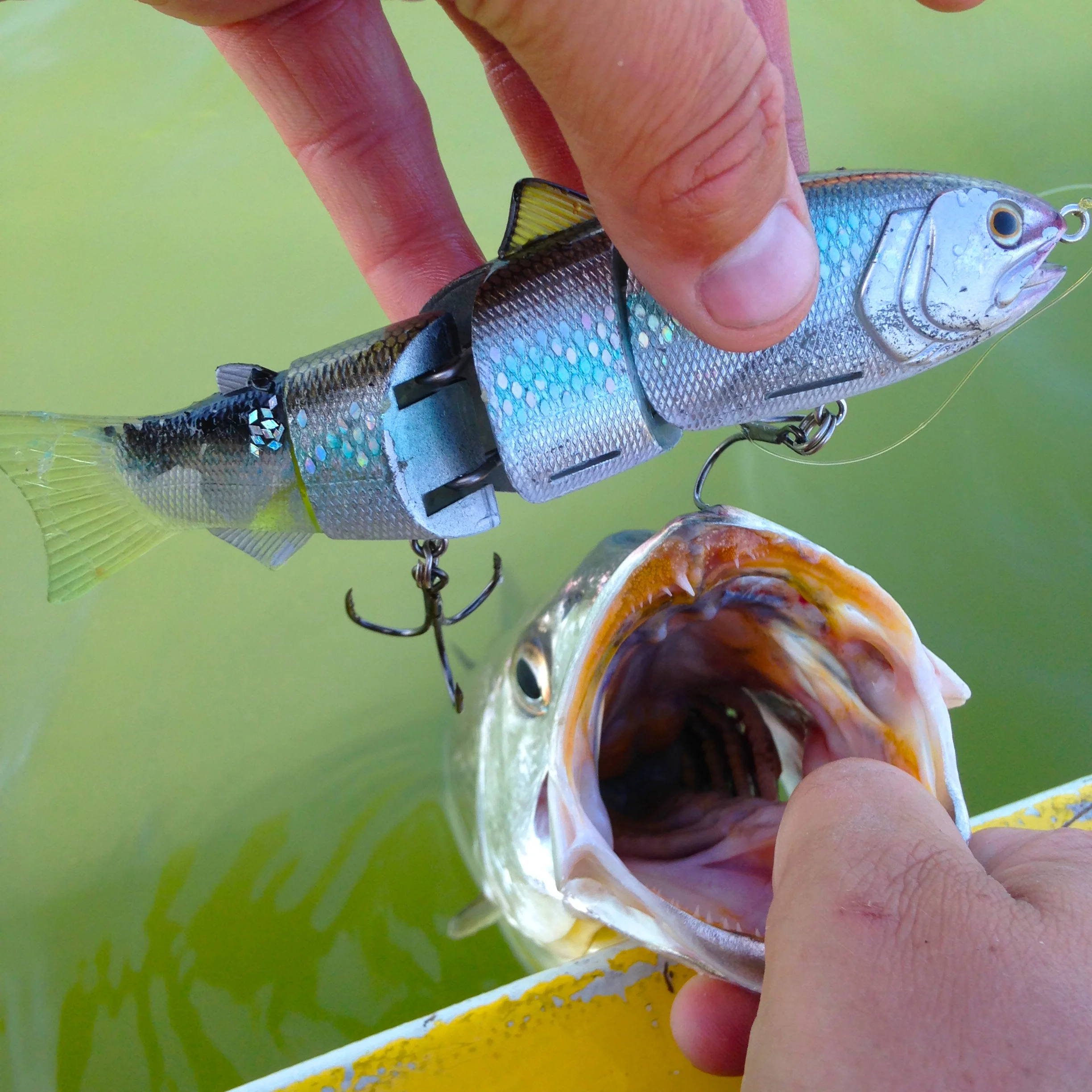 Kevin Bridges With the Corvina Lip Job, Would You?
