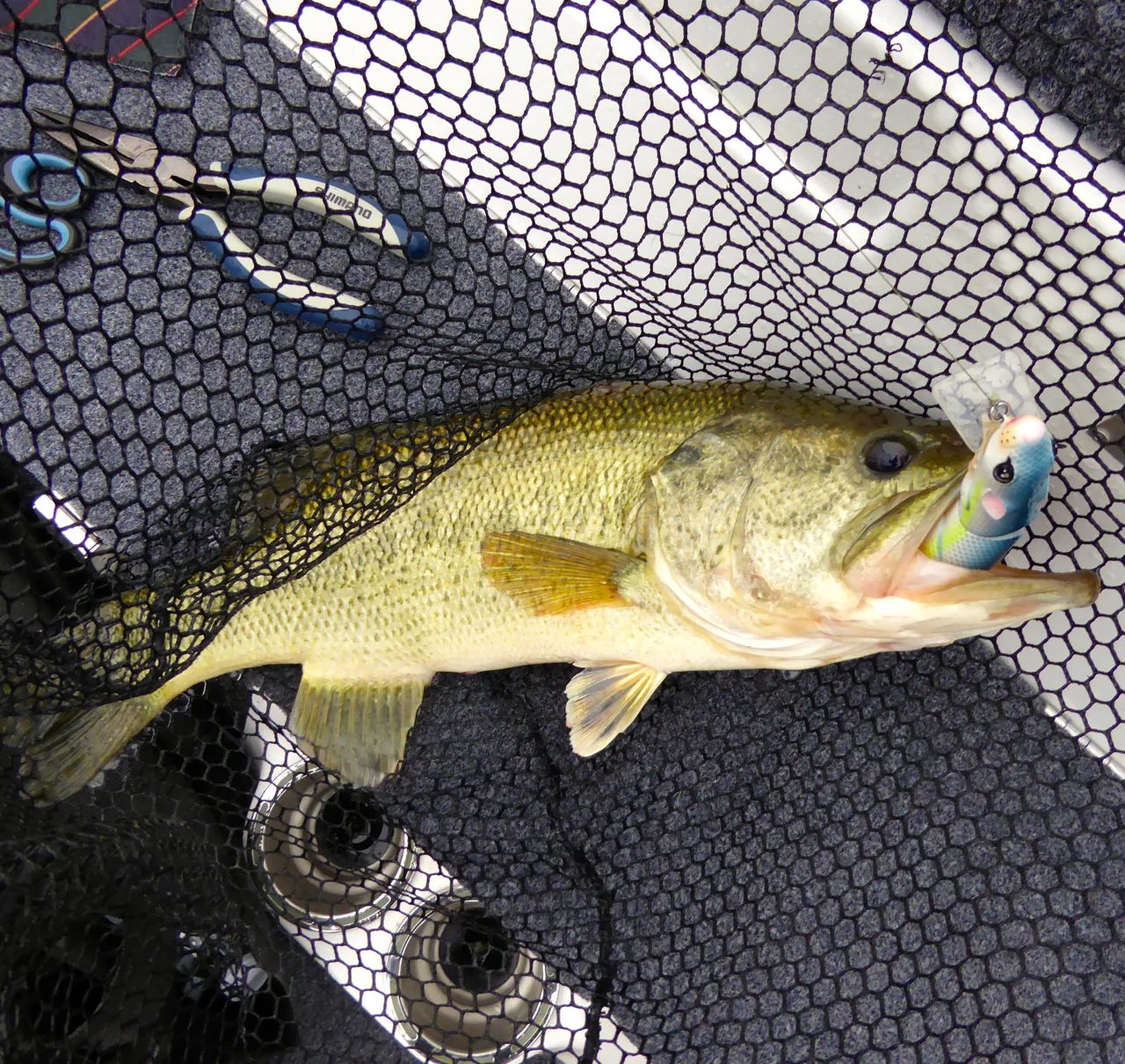 SPRO BBZ-1 RATS 30 and 40. First 9min @ Irvine Lake w/ Siemantel and Stewart