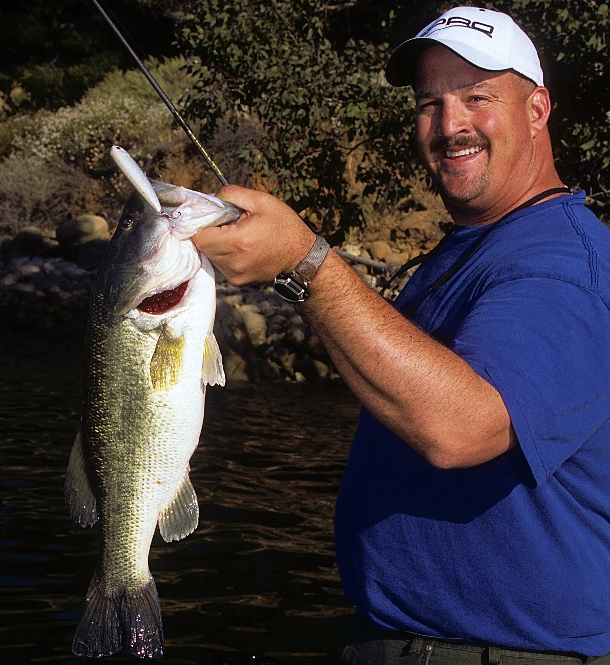 Manual vs Mechanical: Do you know the difference?  