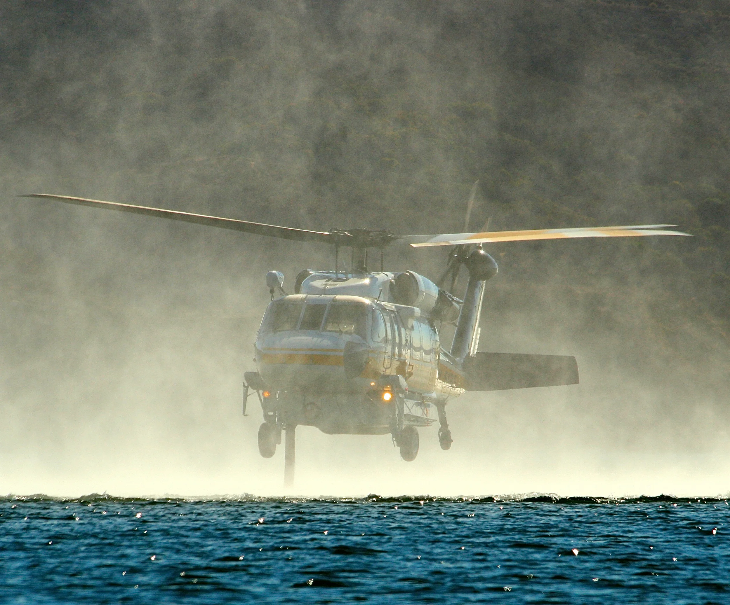 Watch Out For The Birds