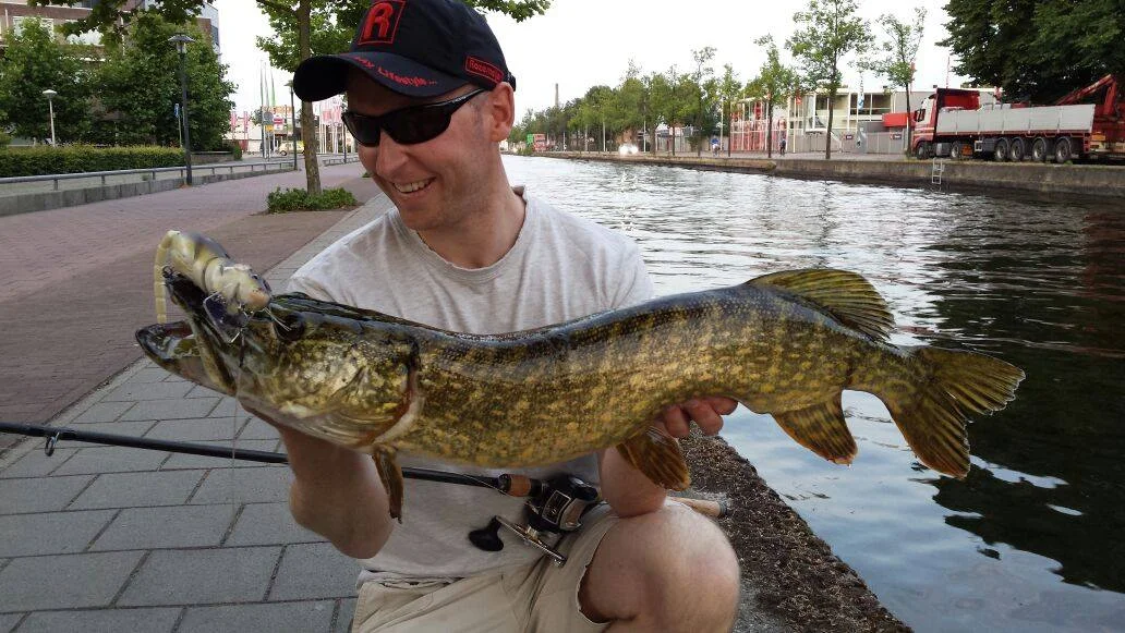 Birds Nest Holland Pike by Thijs van der Sanden